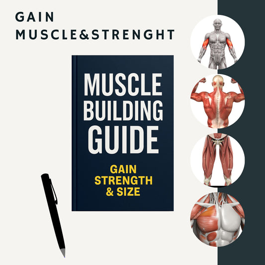 The Muscle Building Guide